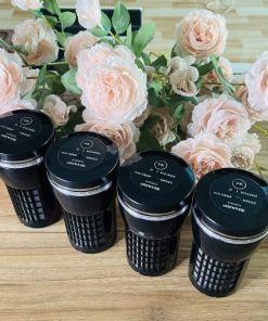 Máy lọc không Khí ô tô Sharp IG-BC2S