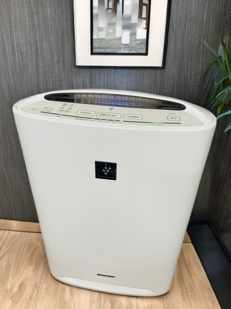 z7202466786848_606eefd701642d062f5fcf1965ae5790